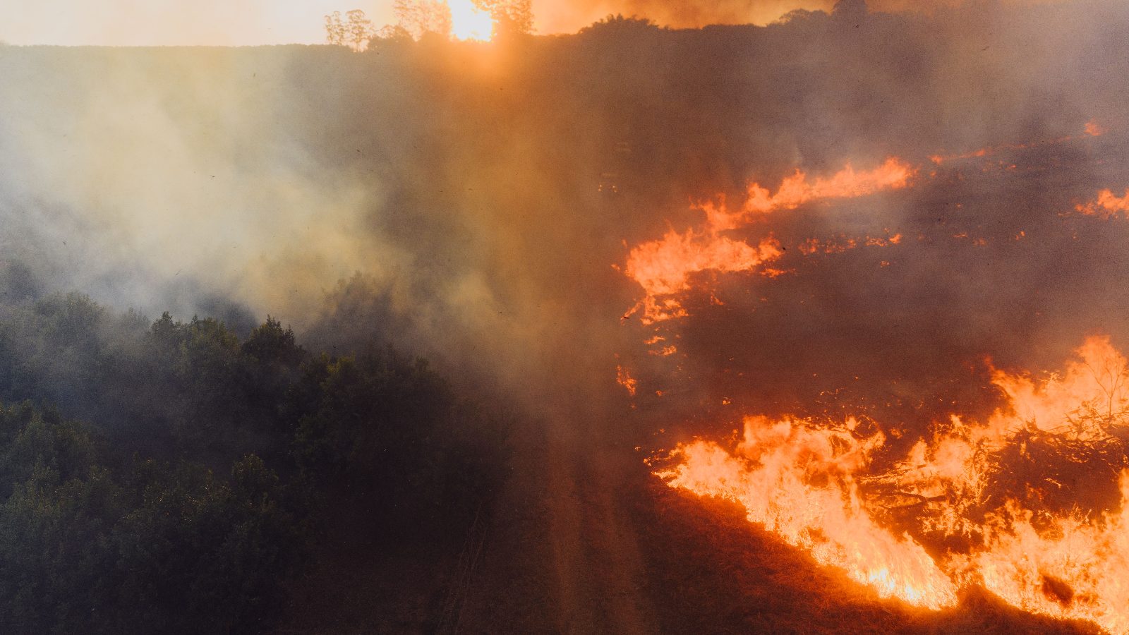 Vista aérea de un incendio forestal, ejemplo de monitorización por satélite
